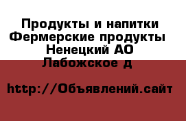 Продукты и напитки Фермерские продукты. Ненецкий АО,Лабожское д.